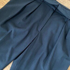 Aritzia Babaton Bureau Pants - Size 12